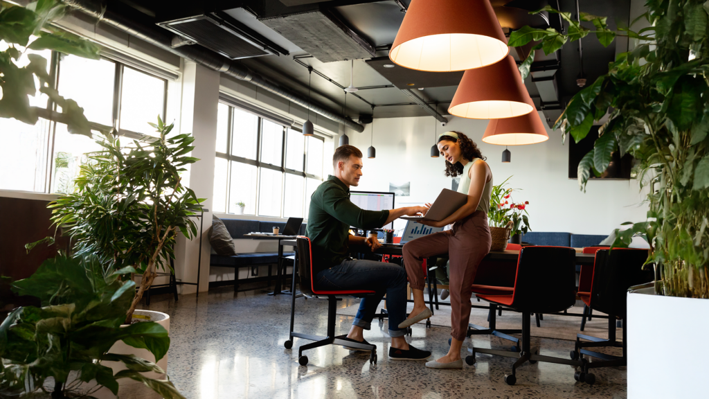 Sou empresa de locação de dispositivos